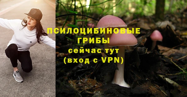 соль ск Краснотурьинск