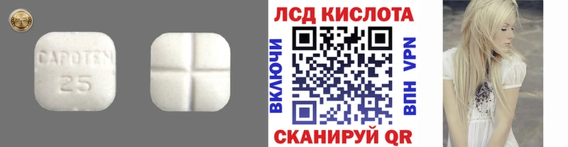 хочу наркоту  Александровск-Сахалинский  Лсд 25 экстази кислота 
